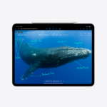 Apple 13-inch iPad Pro (M4) WiFi 512GB with Standard glass - Silver - Image 2