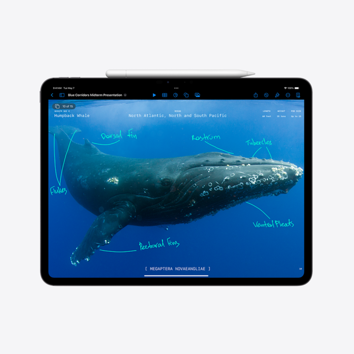 Apple 13-inch iPad Pro (M4) WiFi 512GB with Standard glass - Silver - Image 2