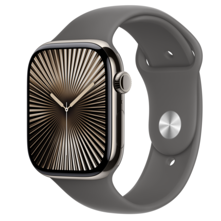 Apple Watch S10 Cellular 46mm Natural Titanium Case with Stone Grey Sport Band - M/L