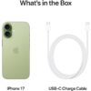 Смартфон Apple iPhone 17 512GB Sage - Image 5
